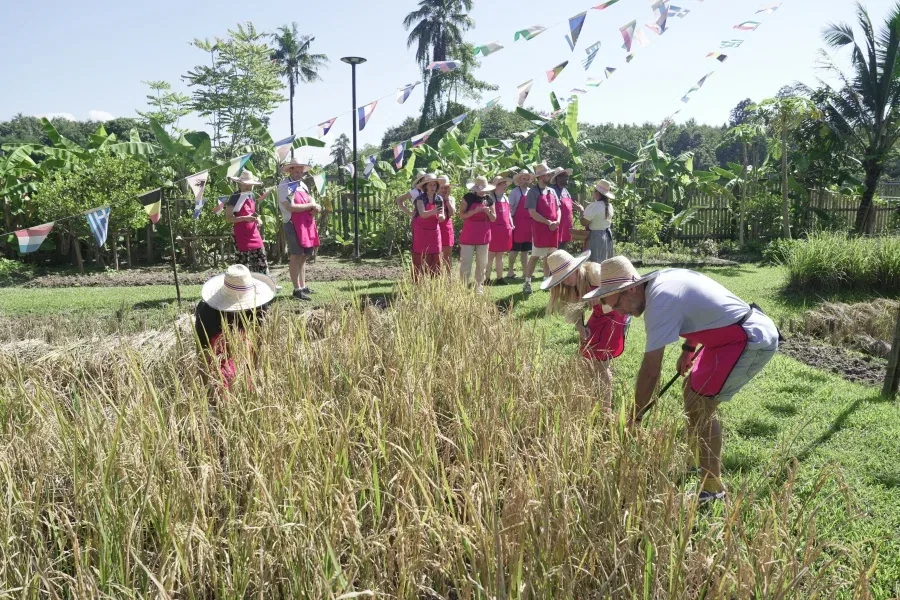 Organic Farm Thai Cooking Class – Full Course, 6 Dishes